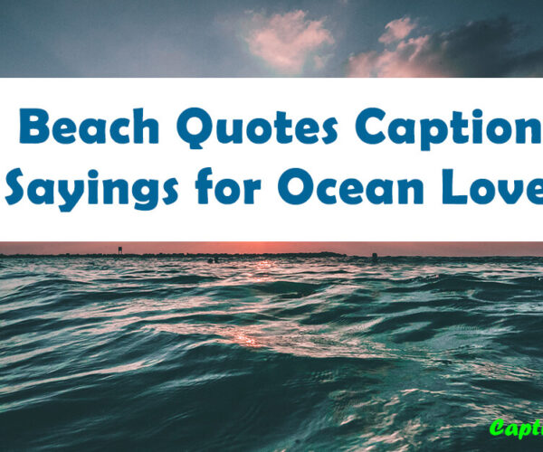 40+ Beach Quotes Captions, & Sayings for Ocean Lovers