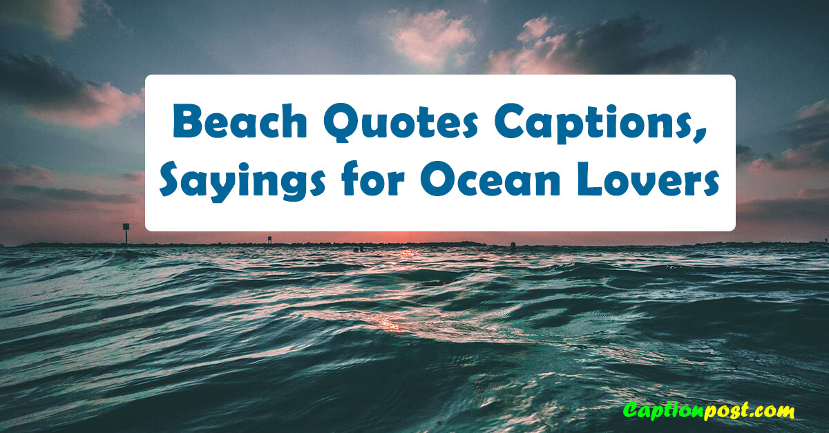 40+ Beach Quotes Captions, & Sayings for Ocean Lovers