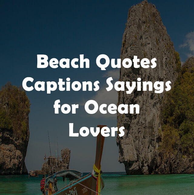 Beach quotes, captions and sayings for quotes lovers web stories