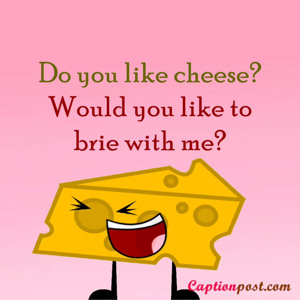 Do you like cheese? Would you like to brie with me?