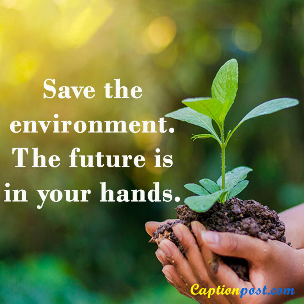 Save the environment. The future is in your hands.