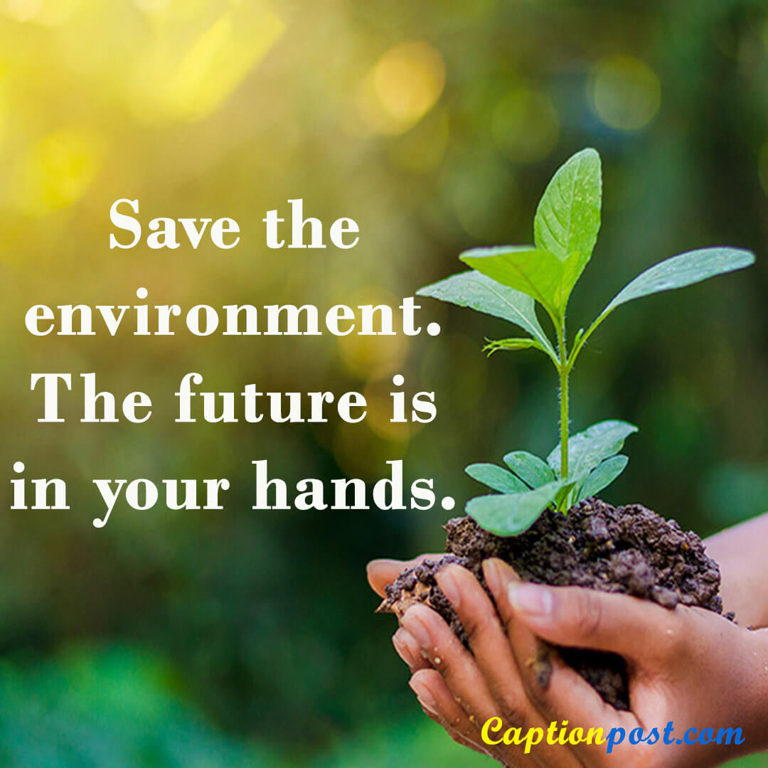 World Environment Day Slogans That’ll Motivate You - Captionpost