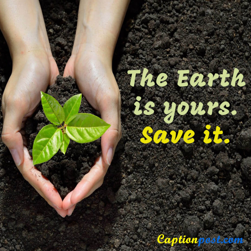 The Earth is yours. Save it.