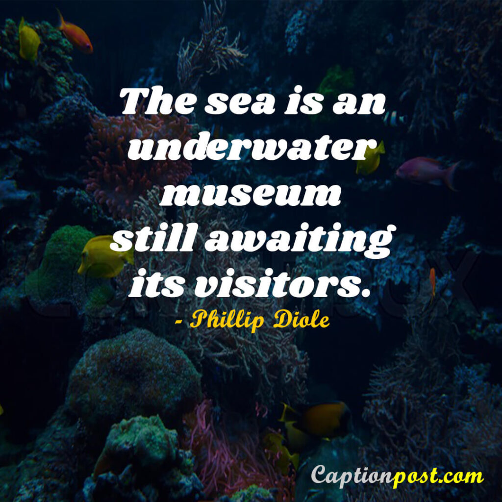 The sea is an underwater museum still awaiting its visitors. - Phillip Diole