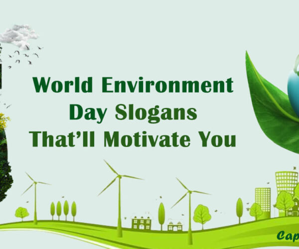 World Environment Day Slogans That’ll Motivate You