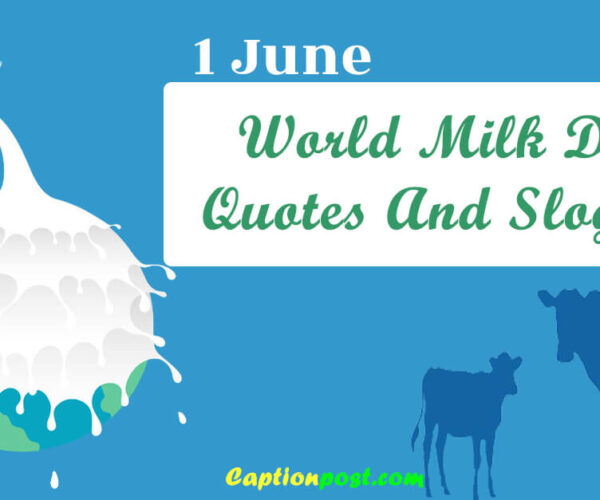 World Milk Day Quotes And Slogans