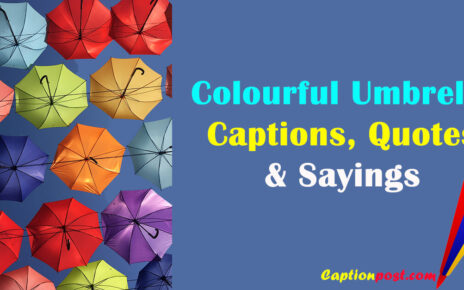 Colourful Umbrella Captions, Quotes & Sayings