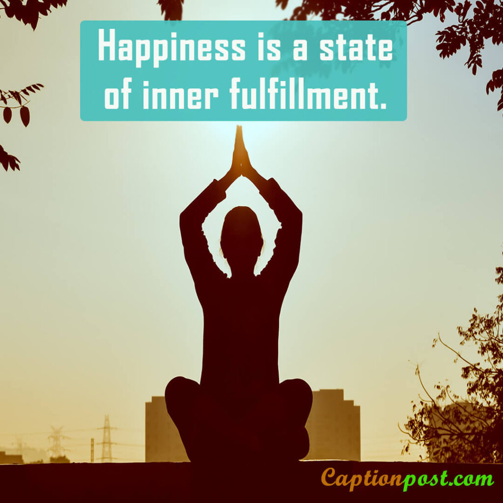 Happiness is a state of inner fulfillment.