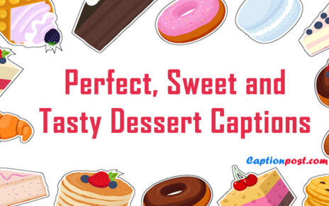 65+ Perfect, Sweet and Tasty Dessert Captions