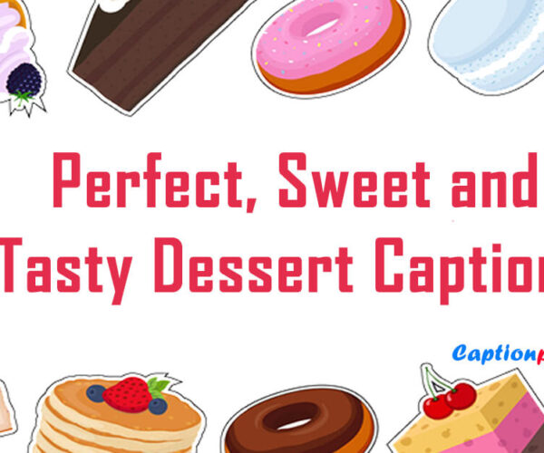 65+ Perfect, Sweet and Tasty Dessert Captions