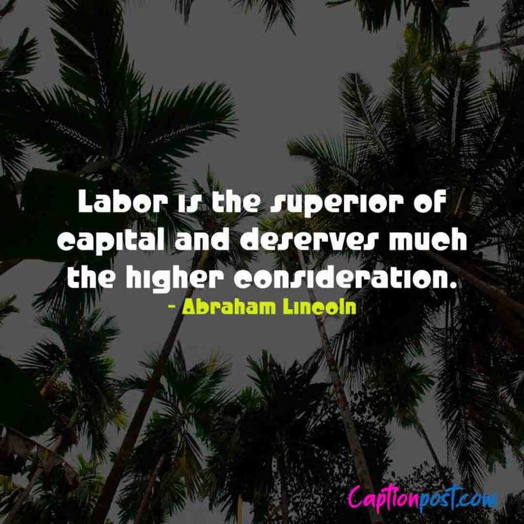 Labor is the superior of capital and deserves much the higher consideration. - Abraham Lincoln