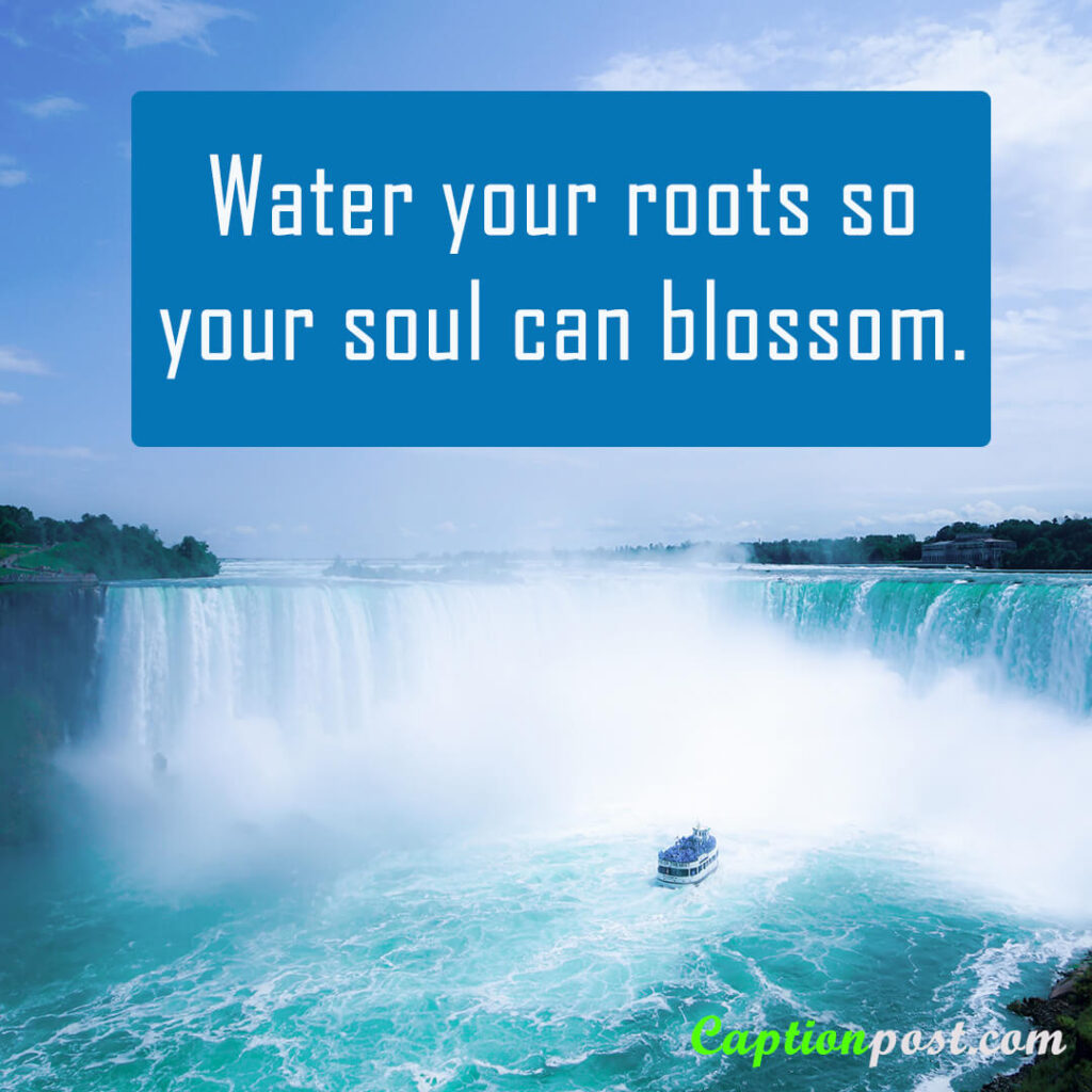 Water your roots so your soul can blossom.