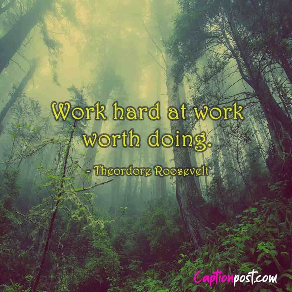 Work hard at work worth doing. - Theordore Roosevelt