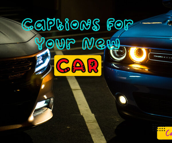 70+ Captions For Your New Car
