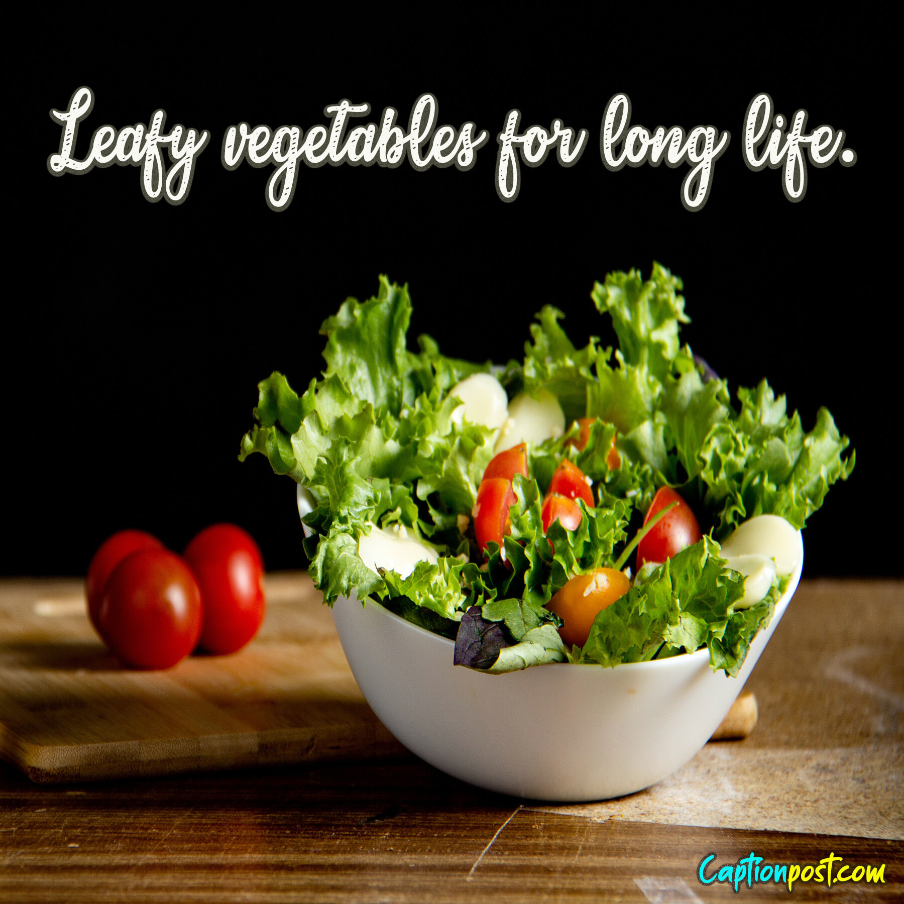60+ Remarkable Healthy Salad Captions & Quotes Captionpost