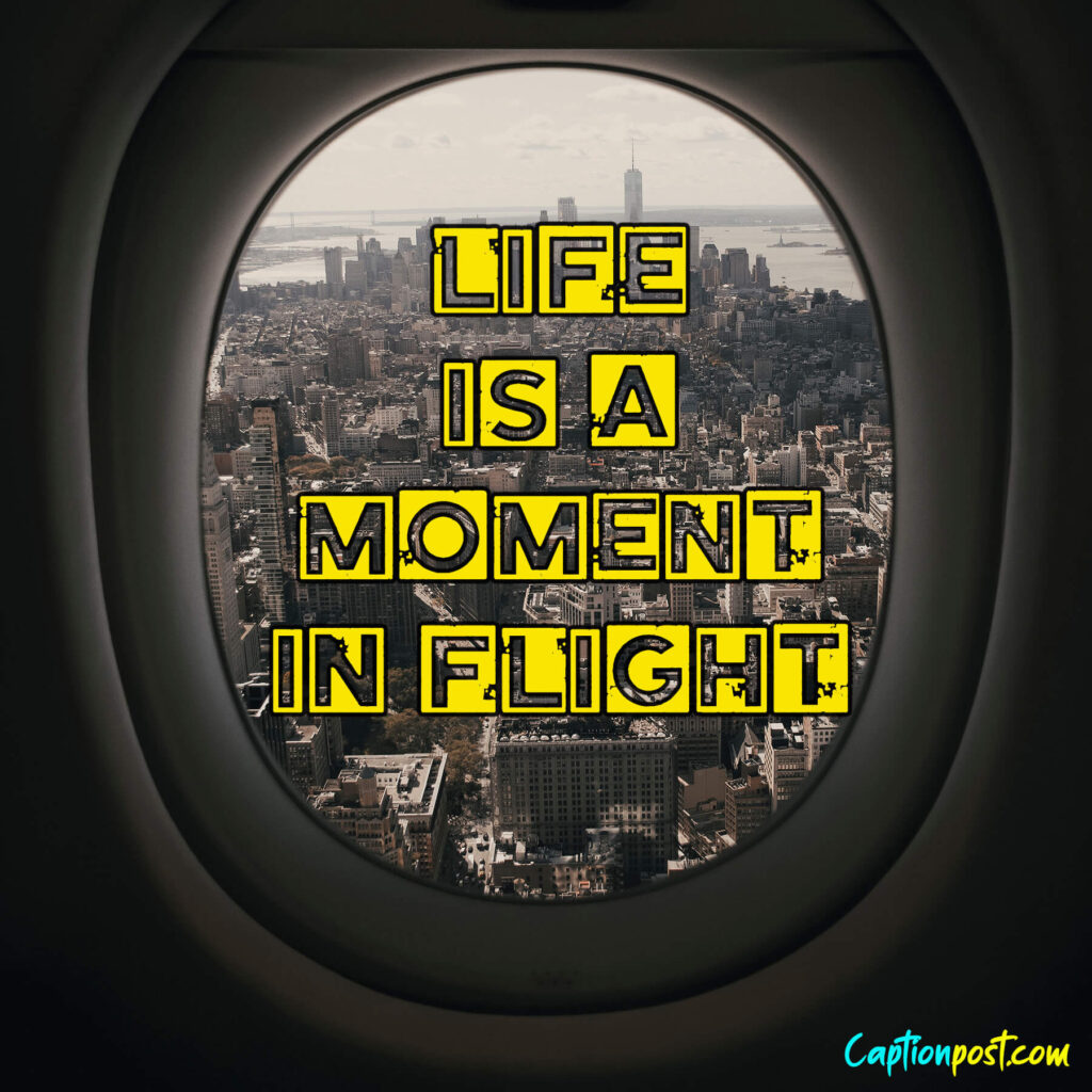 Life is a moment in flight.