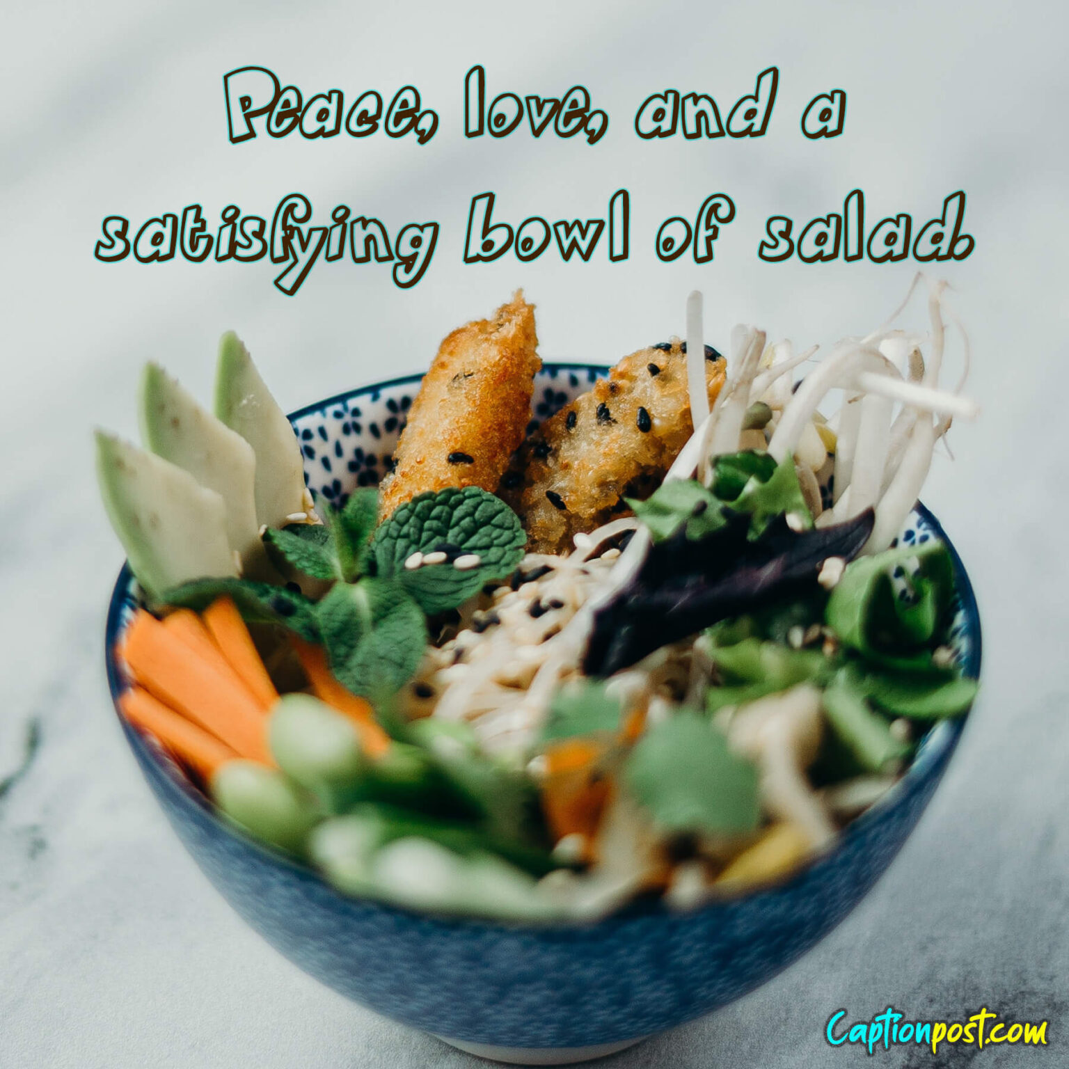 60+ Remarkable Healthy Salad Captions & Quotes Captionpost
