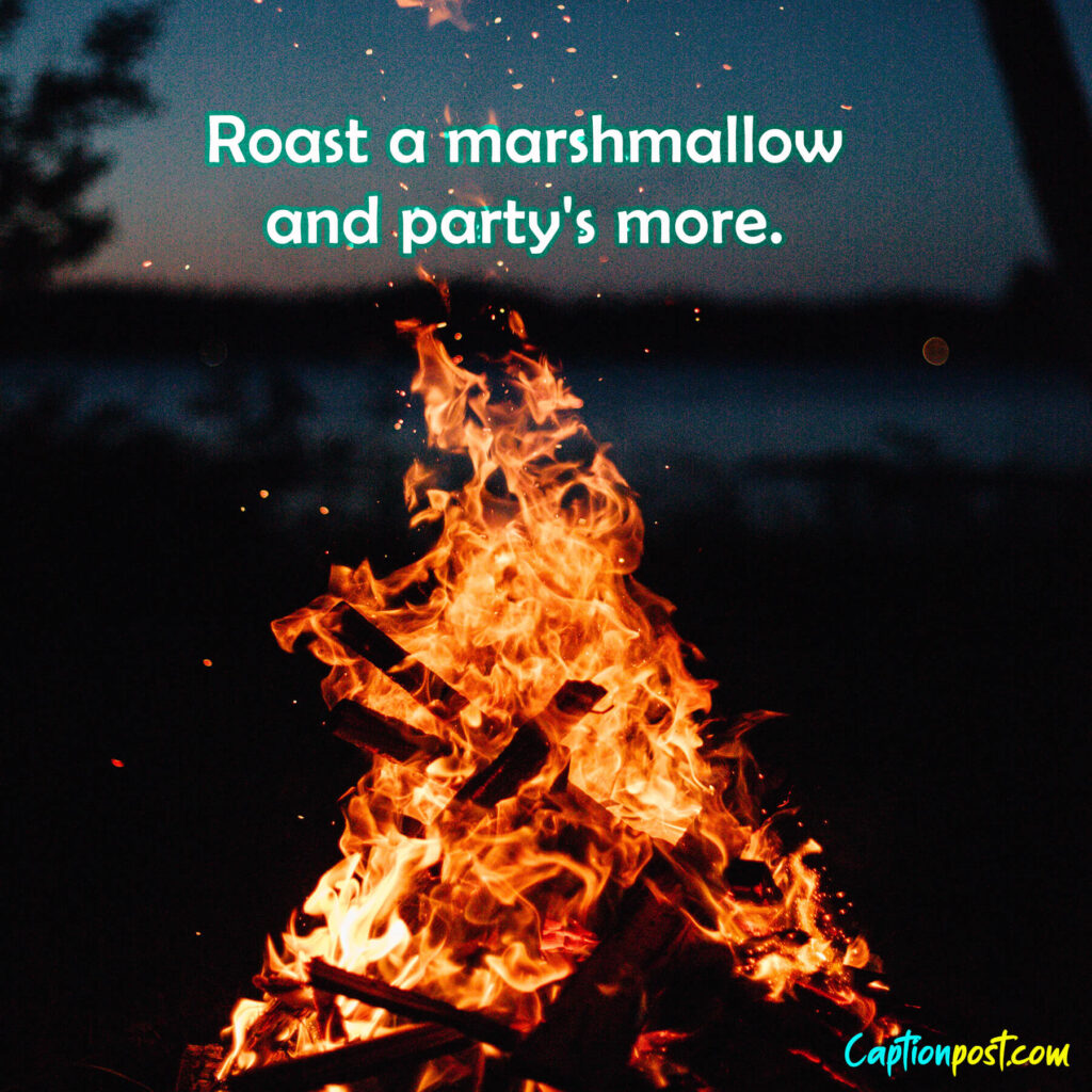 Roast a marshmallow and party s’more.