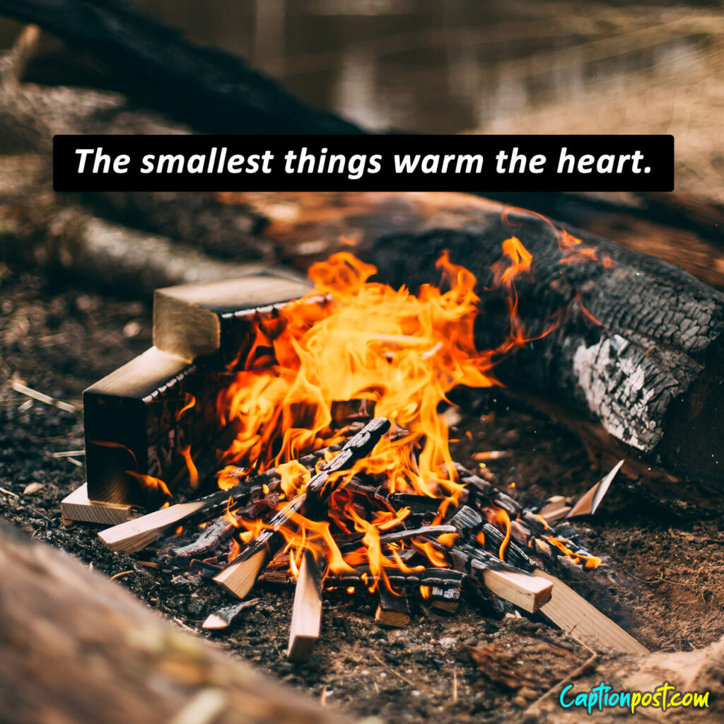 The smallest things warm the heart.