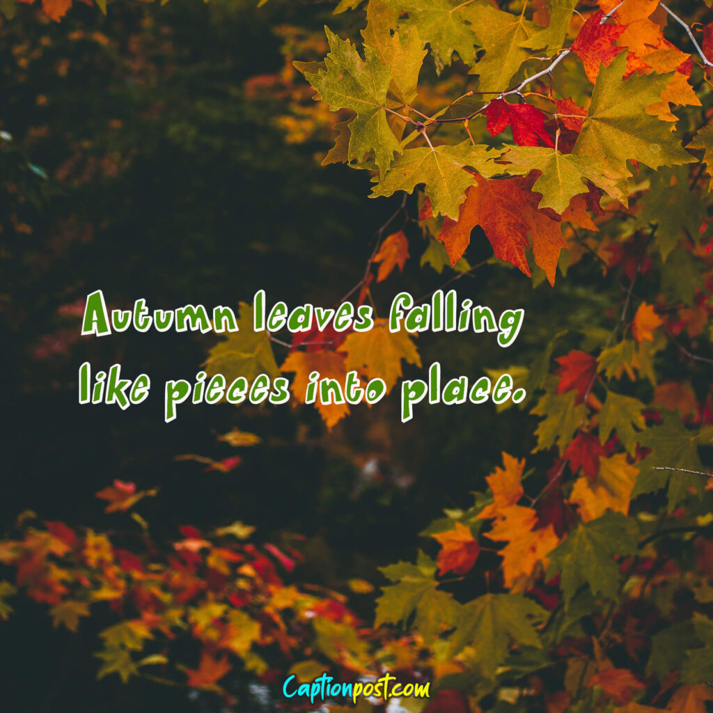 Autumn leaves falling like pieces into place.