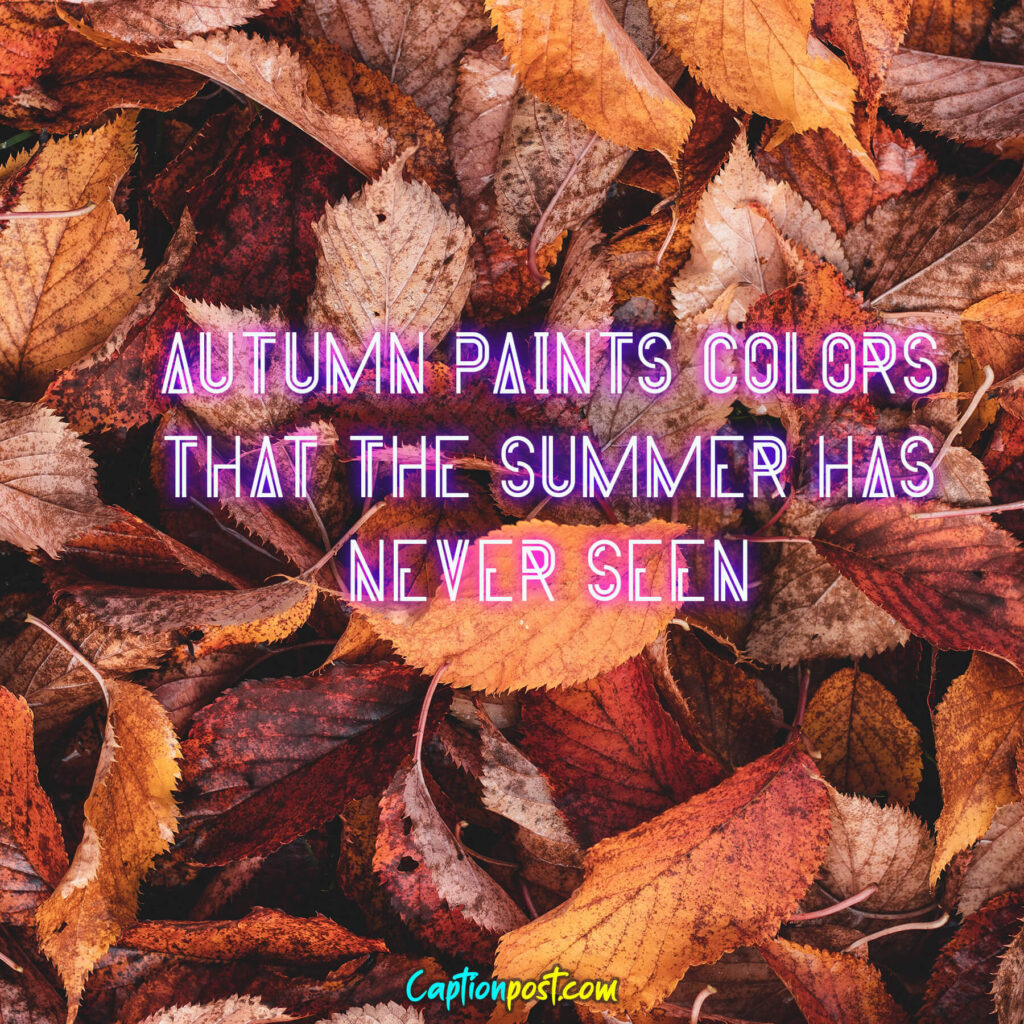 Autumn paints colors that the summer has never seen.