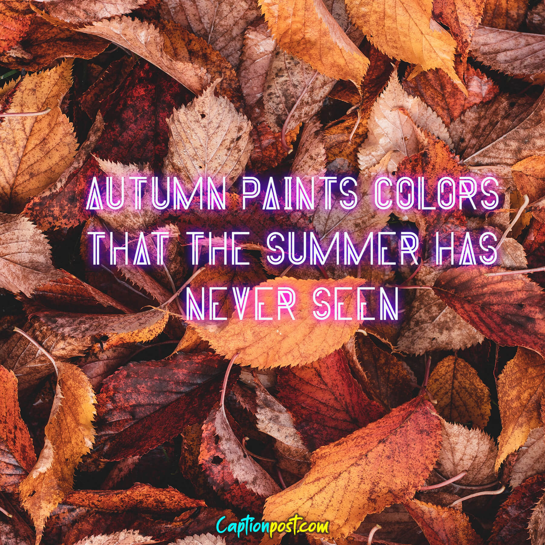 Fall Captions to use When You’re Falling for Autumn - Captionpost