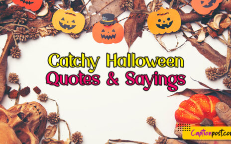 Catchy Halloween Quotes & Sayings