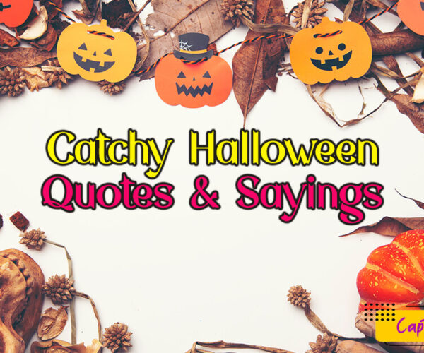 Catchy Halloween Quotes & Sayings