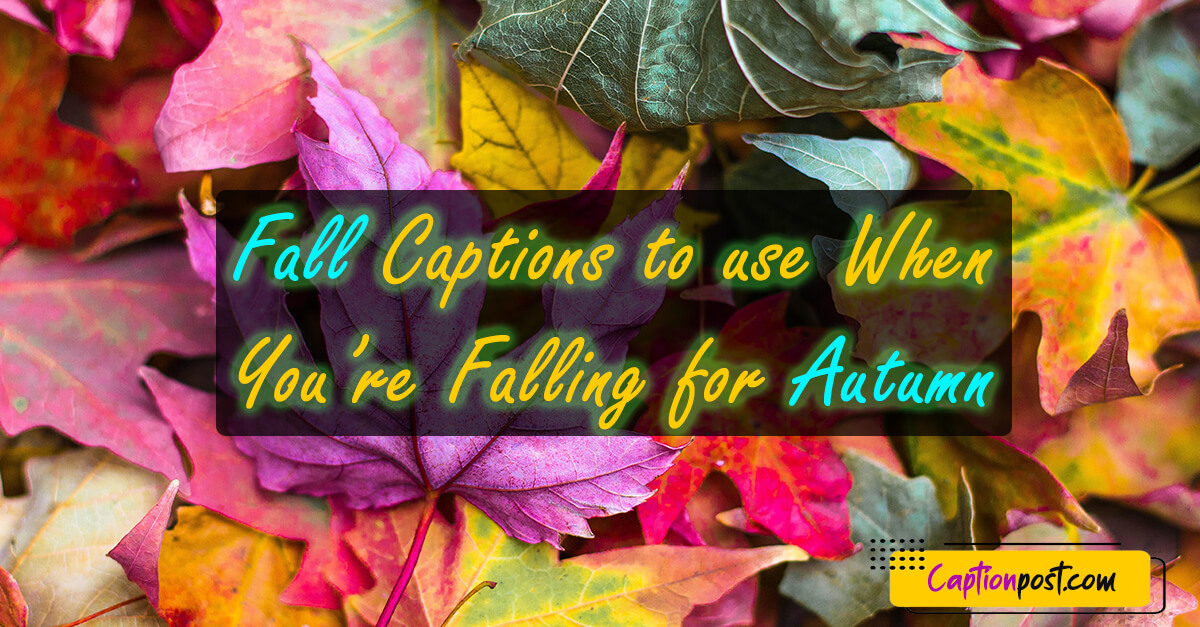 Fall Captions to use When You’re Falling for Autumn
