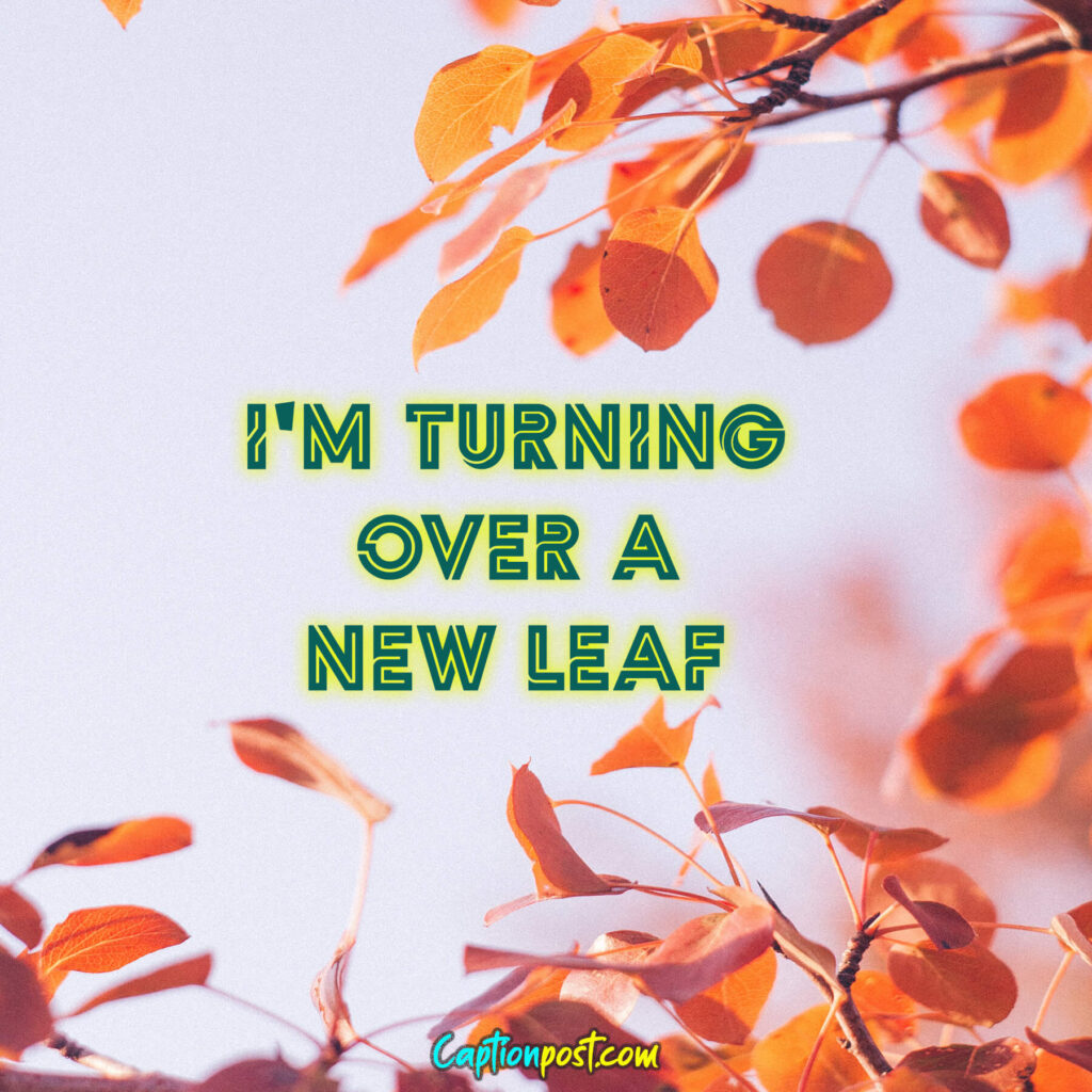I'm turning over a new leaf.