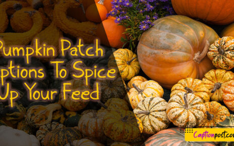 Pumpkin Patch Captions To Spice Up Your Feed