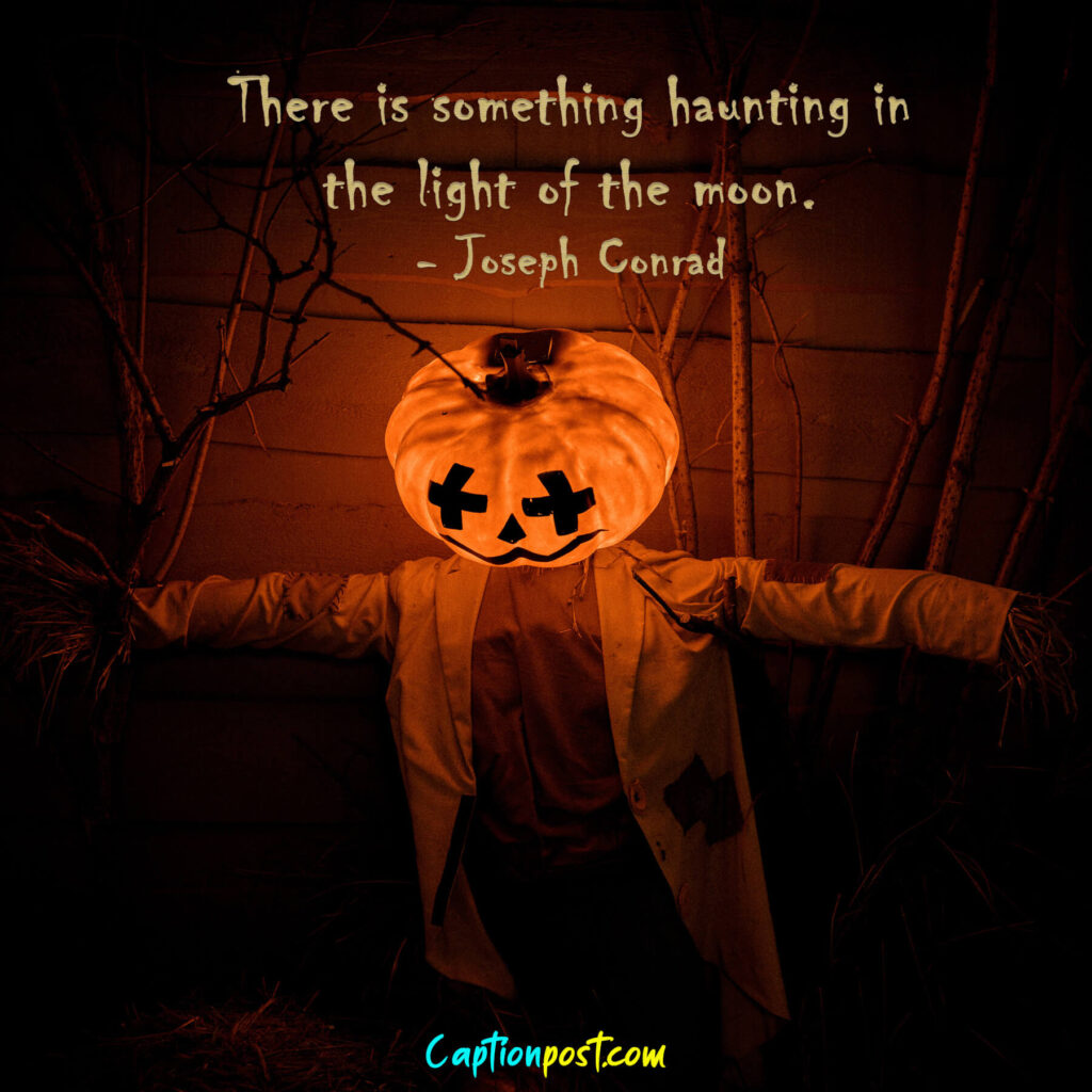 There is something haunting in the light of the moon. - Joseph Conrad