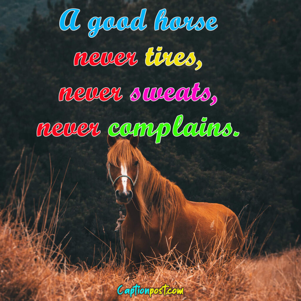 A good horse never tires, never sweats, never complains.