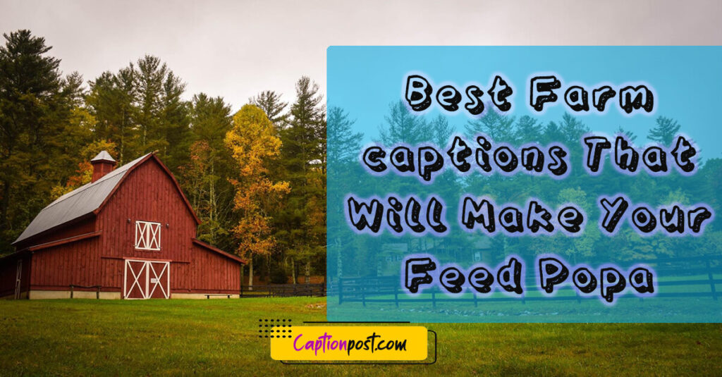 Best Farm captions That Will Make Your Feed Pop Captionpost