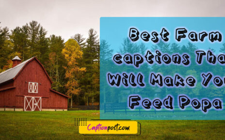 Best Farm captions That Will Make Your Feed Pop