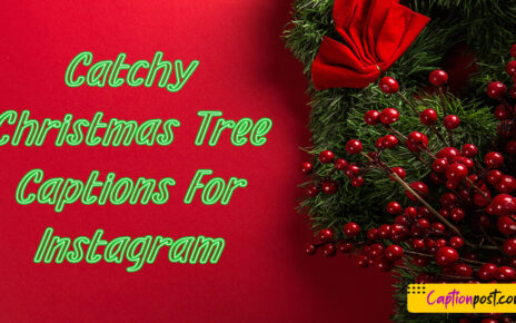 Catchy Christmas Tree Captions For Instagram