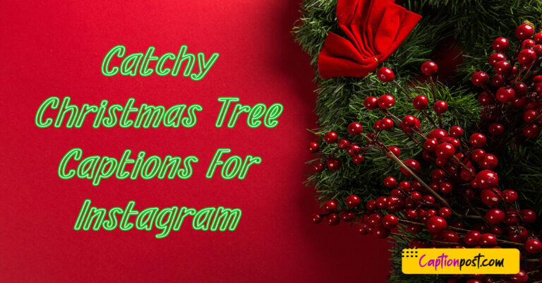 65-catchy-christmas-tree-captions-for-instagram-captionpost