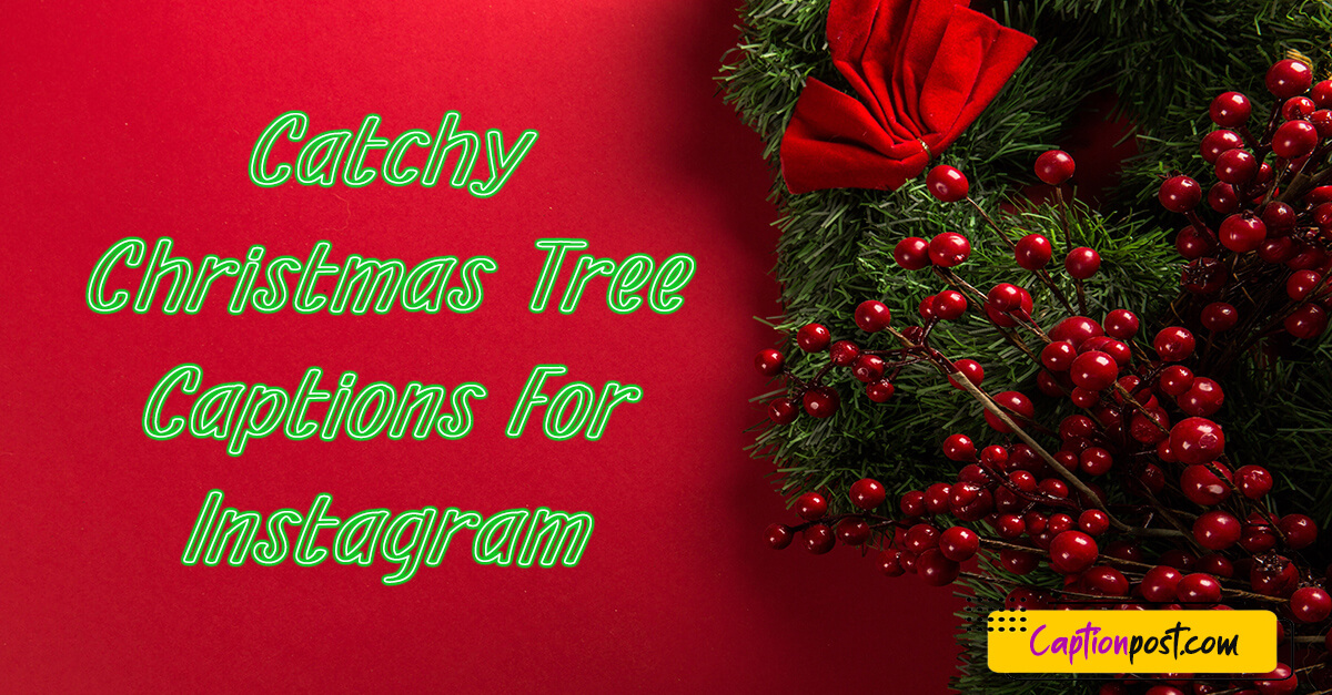 Catchy Christmas Tree Captions For Instagram