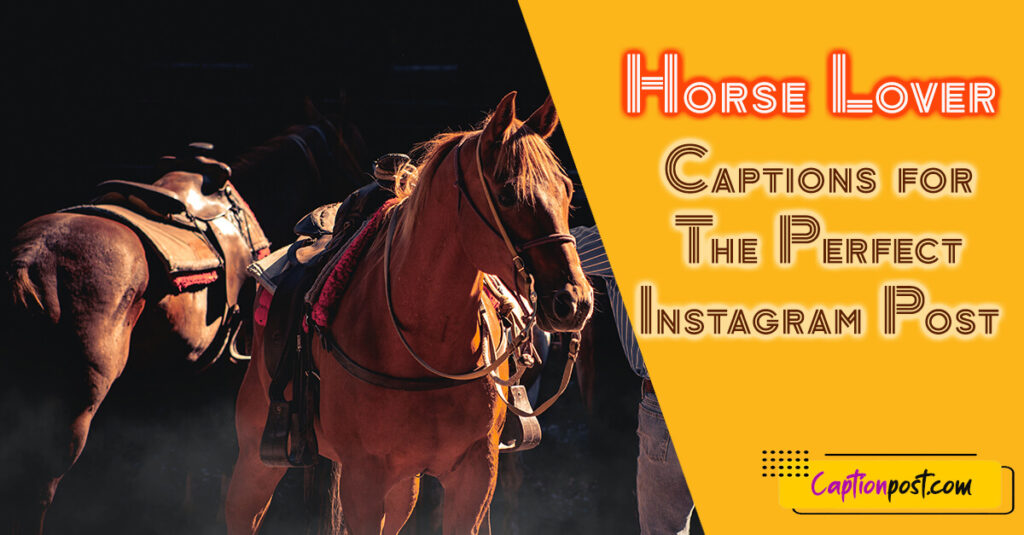 Horse Lover Captions for The Perfect Instagram Post Captionpost