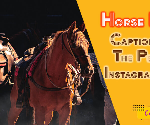 Horse Lover Captions for The Perfect Instagram Post.