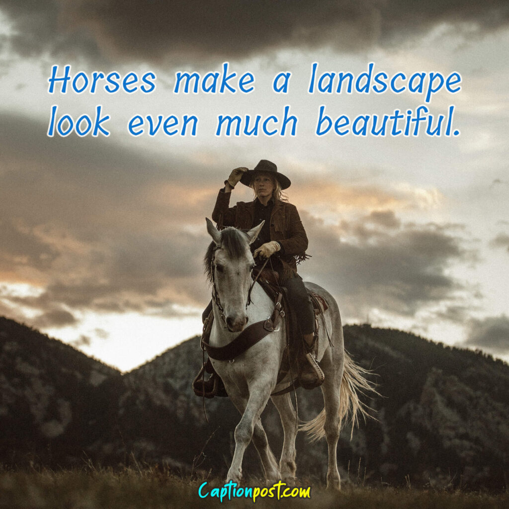 Horses make a landscape look even much beautiful.