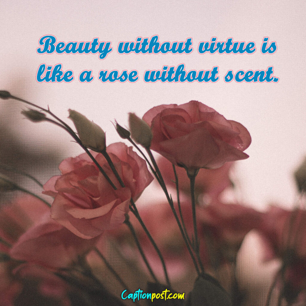 Beauty without virtue is like a rose without scent.