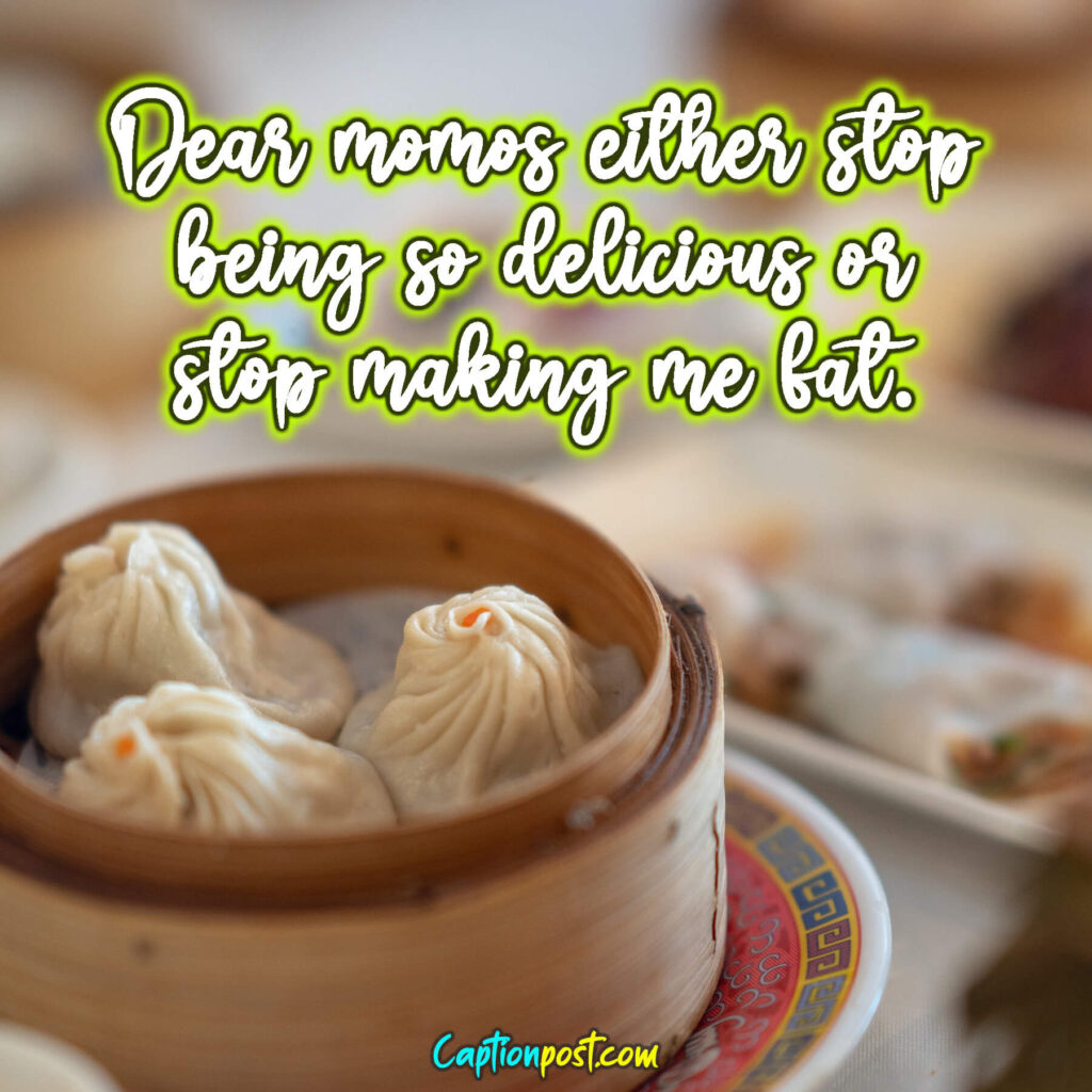 Dear momos either stop being so delicious or stop making me fat.