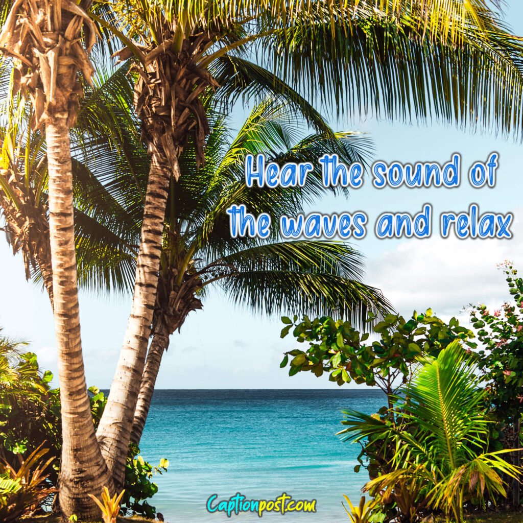 Hear the sound of the waves and relax.