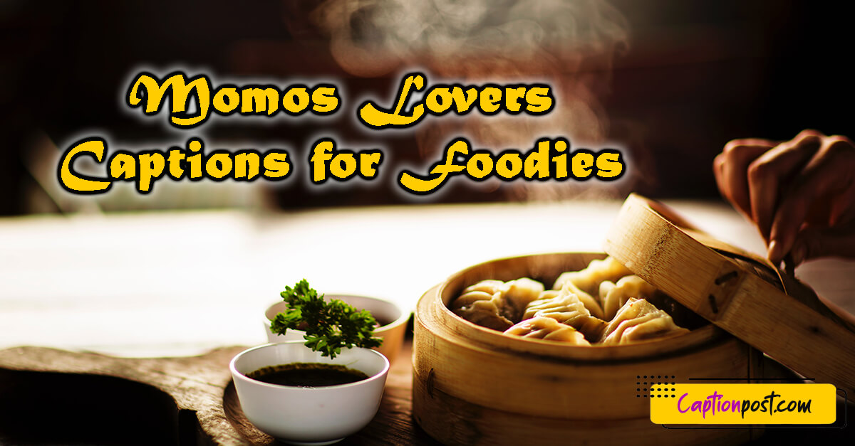 Momos Lovers Captions for Foodies