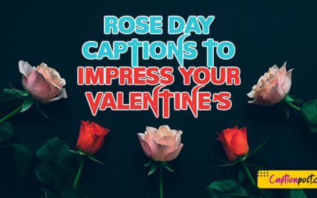 Rose Day Captions To Impress Your Valentine’s