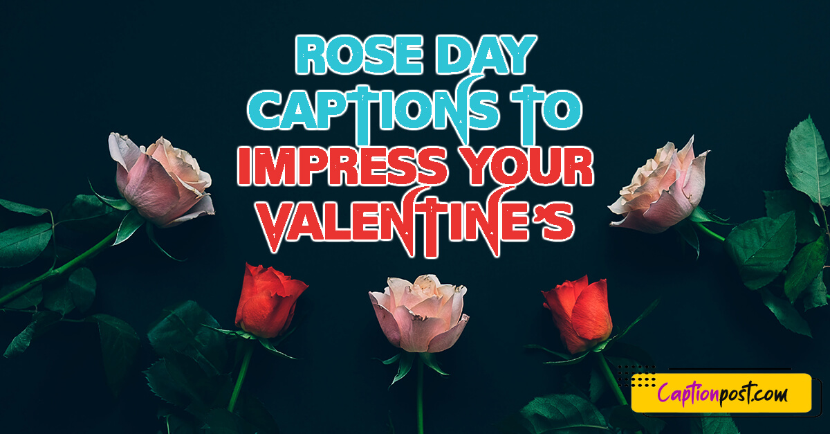 Rose Day Captions To Impress Your Valentine’s