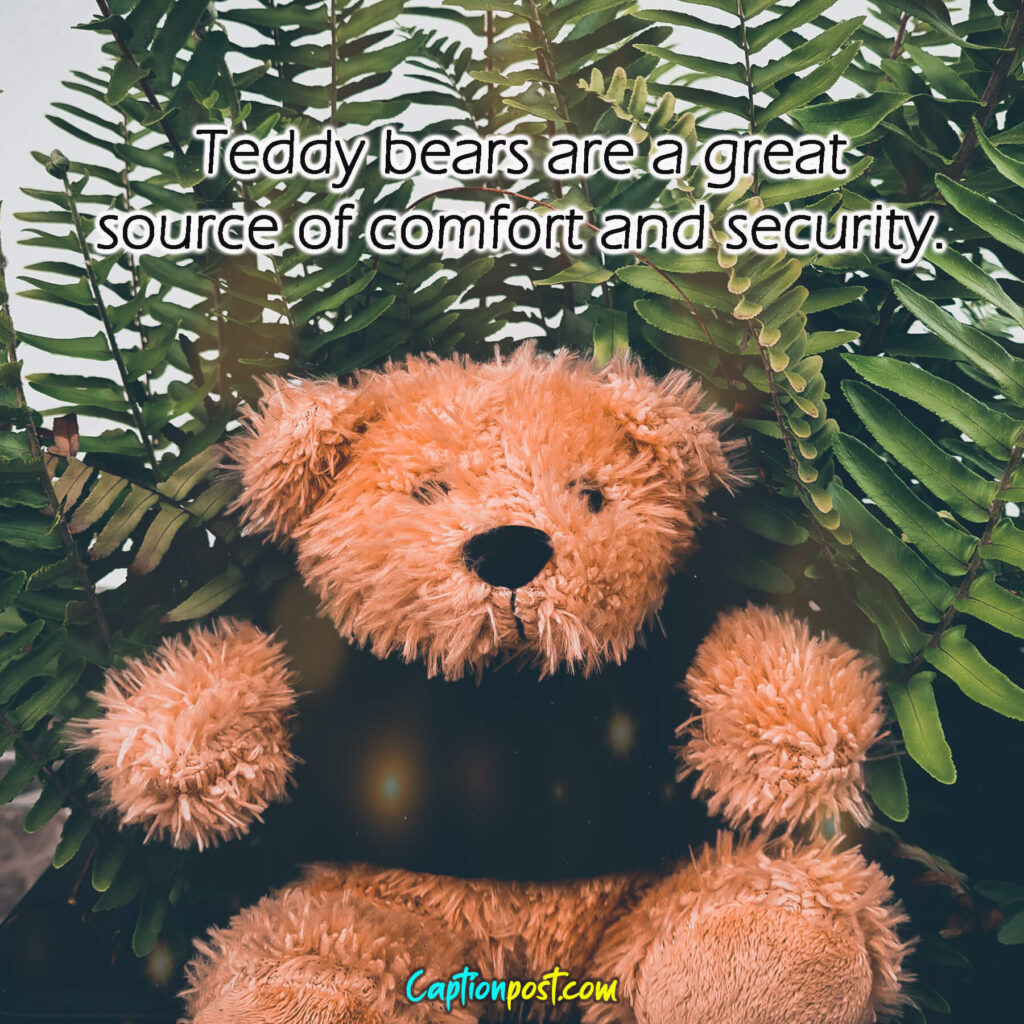 Teddy bears are a great source of comfort and security.