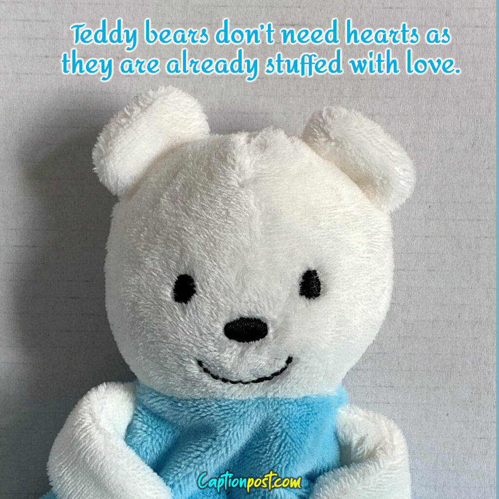Teddy bears don’t need hearts as they are already stuffed with love.