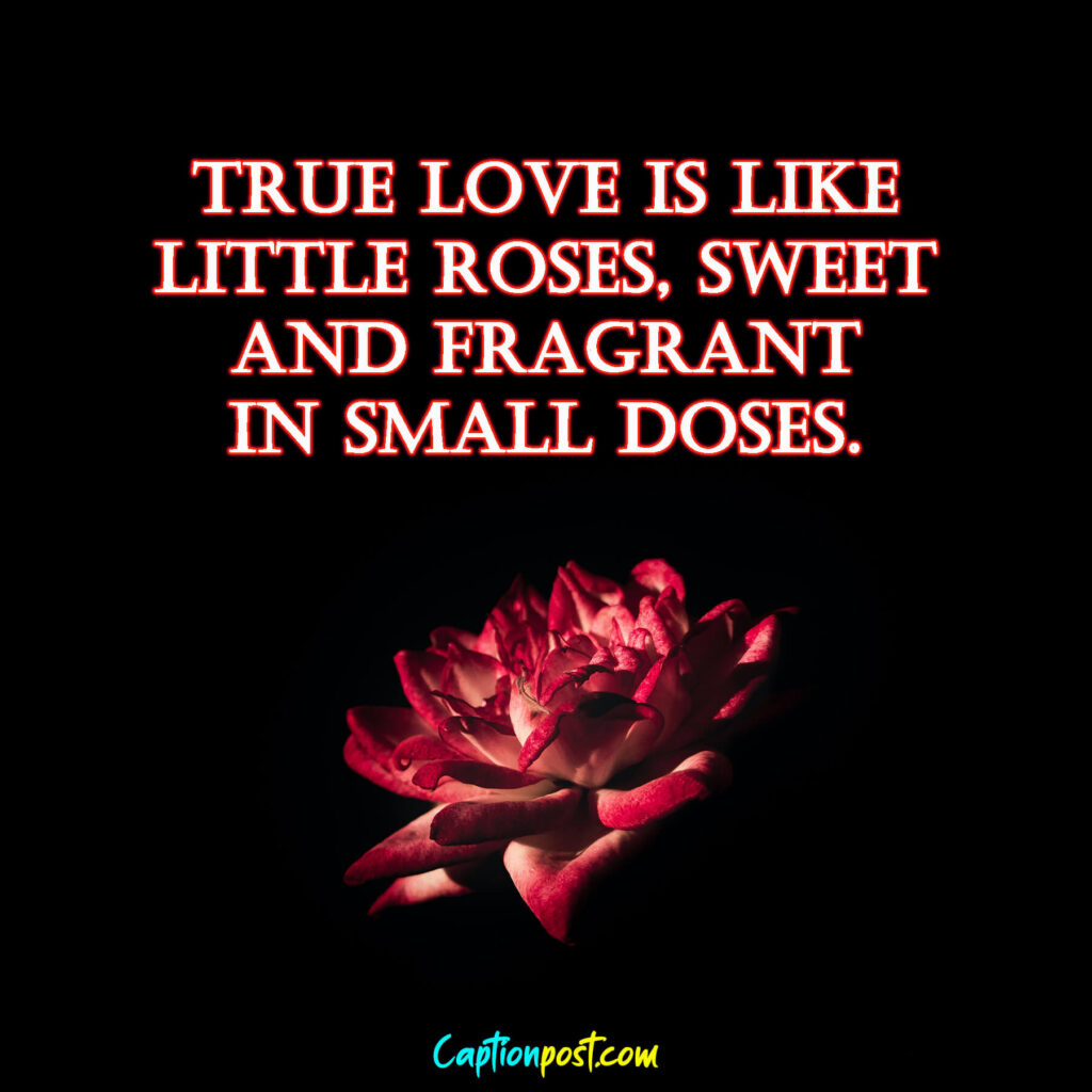True love is like little roses, sweet and fragrant in small doses.